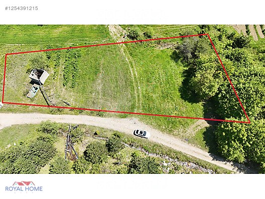 KESTEL SAYFİYE'de MANZARALI YOLU-KAYNAK SUYU OLAN FIRSAT BAHÇE #1254391215