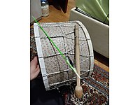 günlük kiralık davul