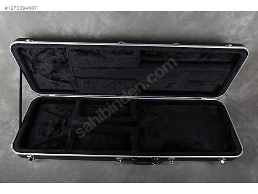 Schecter Elektro Gitar