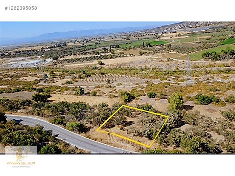 Aybaşlardan kocaömerli köyünde satılık zeytinlik