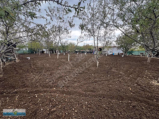 BULURUZDAN ESKİKADINDA SATILIK BAHÇE YERİ #1277396814