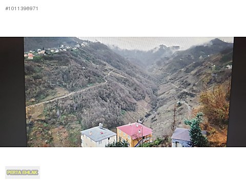 GİRESUN EYNESİL BELEN EV VE FINDIKLIK 100 BİN PERTA EMLAK ÜMİT