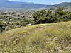 KEMALPAŞA CUMALİ KÖYÜNDE 2790 m2 SATILIK TARLA