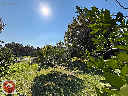by MUTLU I Seferihisar'da Elektrik Su Yol Hazır 250m2 Bahçeler