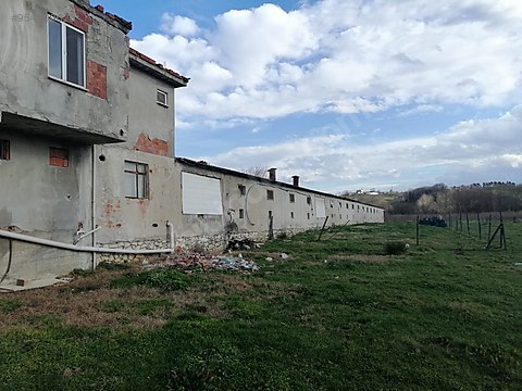 Yumurta Tavukculugu Icin Uygun Kiralik Tavuk Ciftligi Sahibinden Comda 954399620 Yumurta Tavukculugu Icin Uygun Kiralik Tavuk Ciftligi Sahibinden Comda 954399620