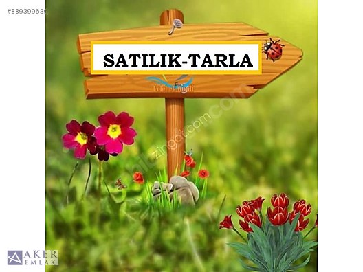 Antalya Muratpasa Aker Emlak Emlak Ilanlari Sahibinden Com Da