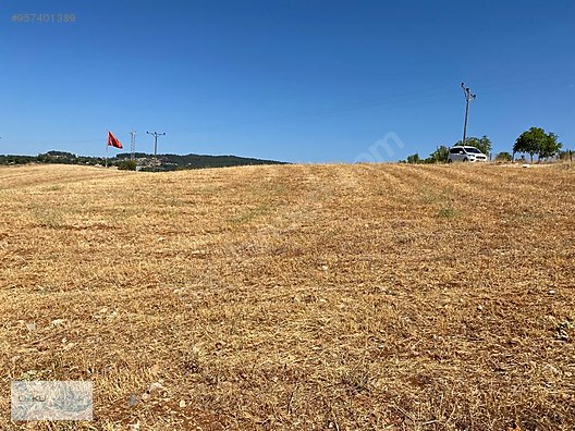 cameli cevizli mah satilik 6 775 m2 mustakil tarla satilik arsa ilanlari sahibinden com da 957401389 cameli cevizli mah satilik 6 775 m2 mustakil tarla satilik arsa ilanlari sahibinden com da 957401389