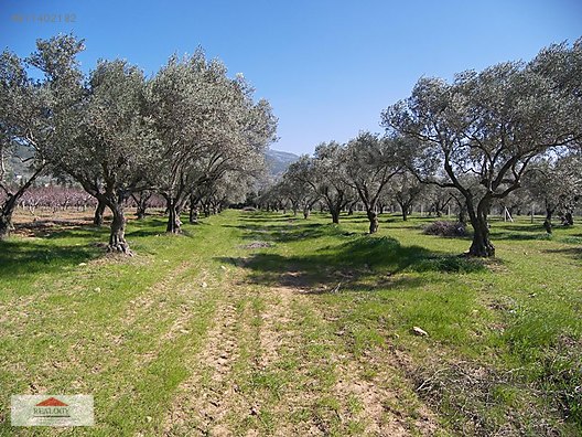 sahibinden satılık arsa izmir torbalı