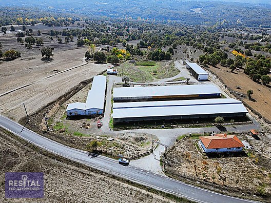 BURSA BÜYÜKORHAN SATILIK KURULU DÜZEN HAZIR ÇİFTLİK