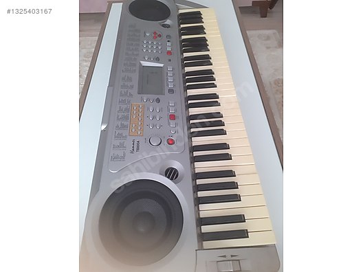 Hammer TB 800A Org - Org ve Tuşlu Çalgılar sahibinden.com'da