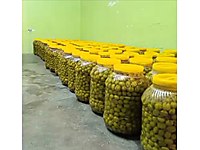 Yeni Mahsul El Kırması Zeytin Doğal, Katkısız, Hatay Lezzet