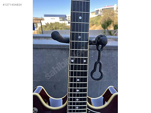 Schecter Elektro Gitar