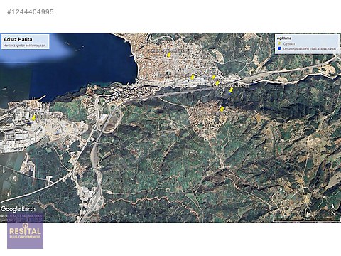 GEMLİK UMURBEY' DE SATILIK DENİZ MANZARALI ZEYTİNLİK