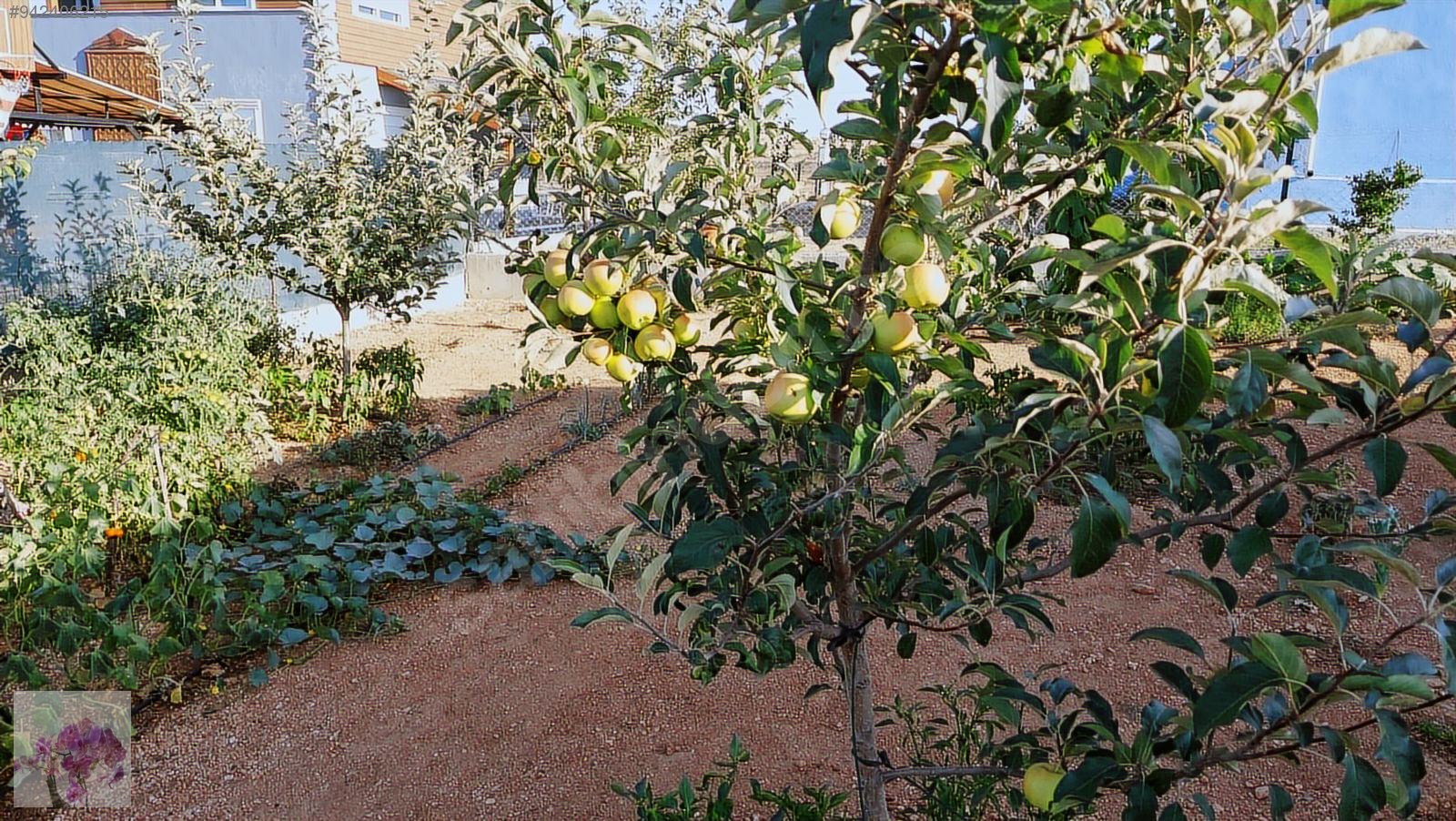 KORKUTELİ BOZOVADA MÜSTAKİL TAPULU 1+1 EV VE 450 MT ARSASI Satılık