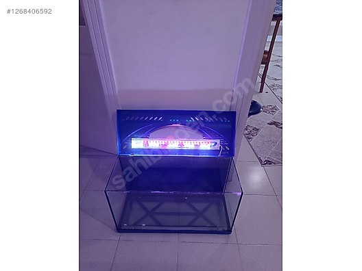 Pets & Livestock / Accessories / Fish / Aquariums