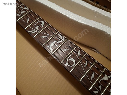 Ibanez Elektro Gitar