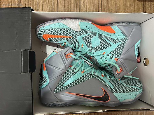 新品未使用Nike LeBron XII ELITE 12 31cm Nike Lebron 12 NSRL on sahibinden.com - 1257407878