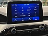 Vasıta / Arazi, SUV & Pickup / Ford / Kuga / 1.5 EcoBlue / Style