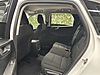Vasıta / Arazi, SUV & Pickup / Ford / Kuga / 1.5 EcoBlue / Style