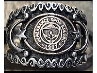 FENERBAHÇE 100. Yıl Retro Yüzük