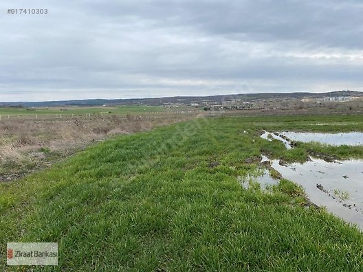 ankara altindag t c ziraat bankasi a s