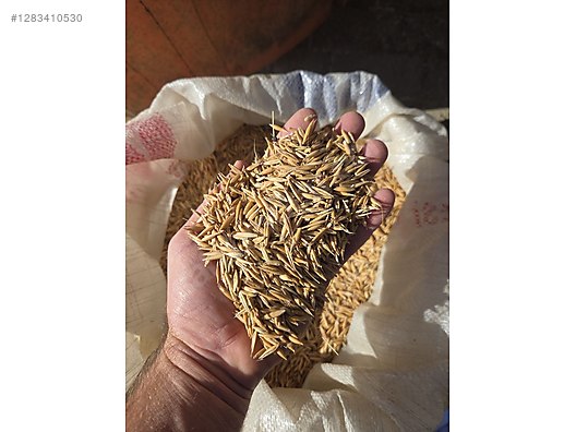 Pets & Livestock / Foods & Feeds / Small & Large Livestock / Feed