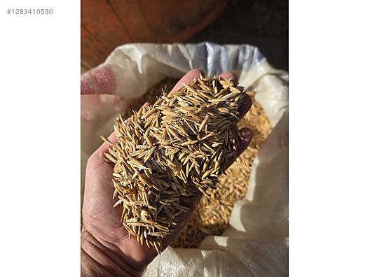 Pets & Livestock / Foods & Feeds / Small & Large Livestock / Feed