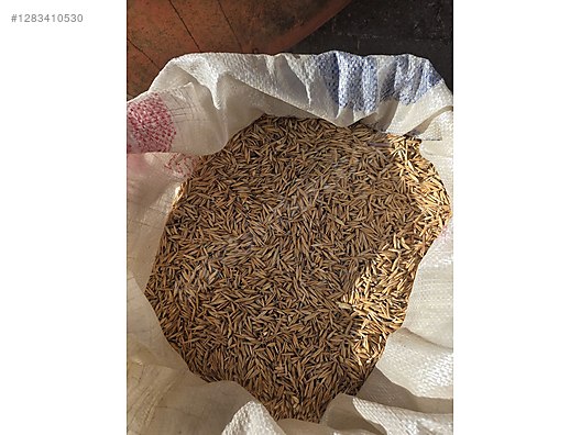 Pets & Livestock / Foods & Feeds / Small & Large Livestock / Feed