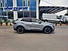 Vasıta / Arazi, SUV & Pickup / Kia / Sportage / 1.6 CRDI Hibrit / Prestige