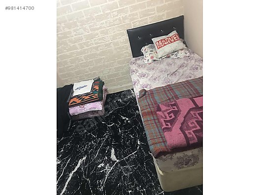 ev islerini yapacak bayan eleman sahibinden comda 981414700