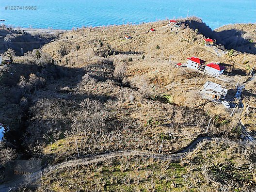 GİRESUN KEŞAP İLÇESİ DÜZKÖY MEVKİ DENİZ MANZARALI TARLA #1227416962