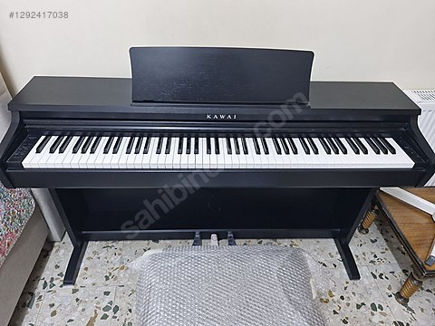 12924170386fr.jpg