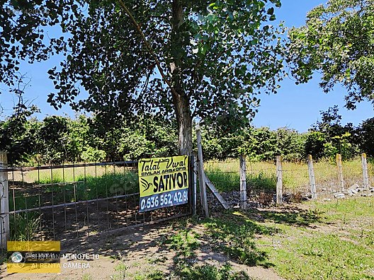 TALAT EMLAKTAN KIZILOT MAHALLESİNDE 11.618 M2 MÜSTAKİ FINDIKLIK #931420006