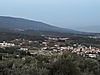 iMAR SINIRINDA,YATIRIMLIK ZEYTİNLİKKEMALPAŞA KUYUCAK'TA SATILIK