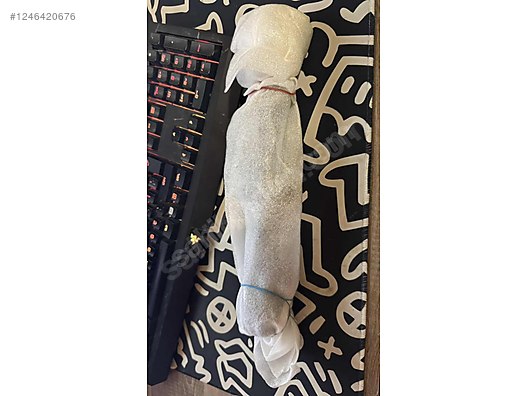 Used & Brand New Items / Cameras & Photographic Equipment / Binoculars