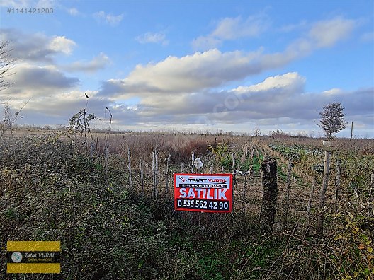 TALAT EMLAKTAN KOCAKAVAK KÖYÜNDE ARAZİ #1141421203