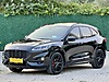 Vasıta / Arazi, SUV & Pickup / Ford / Kuga / 1.5 EcoBoost / ST-Line Black Package