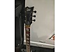 LTD Elektro Gitar