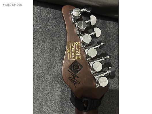 Schecter Elektro Gitar