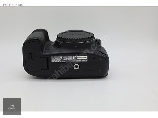DSLR / Canon / EOS 6D Mark II / Canon EOS 6D Mark II Body (046