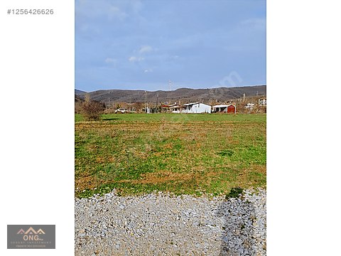 ONG PLUS'TAN GEMLİK HAYDARİYE'DE SATILIK ARSA