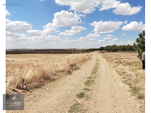 SİLİVRİ GÜMÜŞYAKA YOLA CEPHE TEK TAPU SATILIK TARLA #1269428401