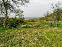 mesudiye mh satilik arsa ilanlari ve fiyatlari sahibinden com da