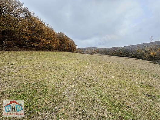 DUHAN EMLAK GAYRİMENKULDEN YATIRIMLIK 16 DÖNÜM ARAZİ #1211431422