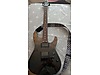 Schecter Elektro Gitar