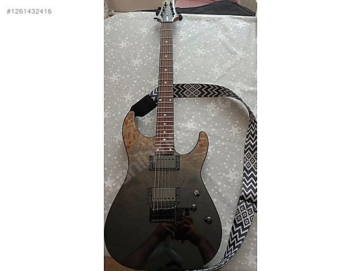 Schecter Elektro Gitar