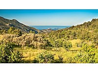 Kalkan Arsa Ilanlari Ve Fiyatlari Sahibinden Com Da