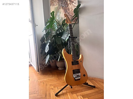 Washburn Elektro Gitar