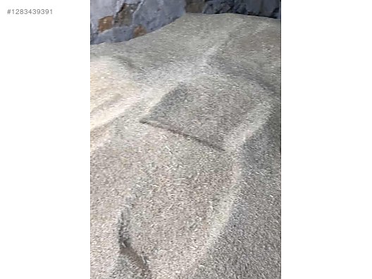 Pets & Livestock / Foods & Feeds / Small & Large Livestock / Feed