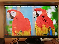 ikinci el ve sifir bilgisayar monitorleri sahibinden com da